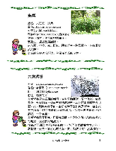 各種花詳細資料001.jpg