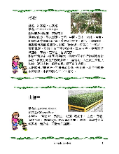 各種花詳細資料002.jpg