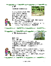 各種花詳細資料004.jpg