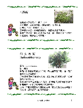 各種花詳細資料005.jpg