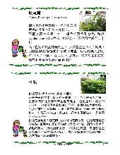 各種花詳細資料006.jpg