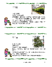 各種花詳細資料007.jpg
