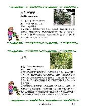 各種花詳細資料010.jpg