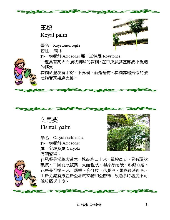 各種花詳細資料012.jpg