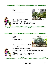 各種花詳細資料013.jpg