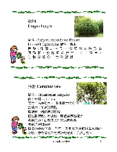 各種花詳細資料014.jpg