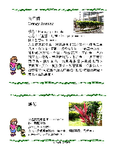 各種花詳細資料015.jpg