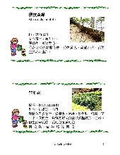 各種花詳細資料016.jpg