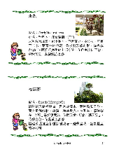 各種花詳細資料017.jpg