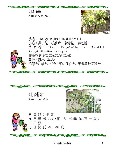 各種花詳細資料018.jpg