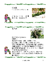 各種花詳細資料019.jpg