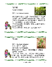 各種花詳細資料020.jpg