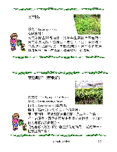 各種花詳細資料021.jpg
